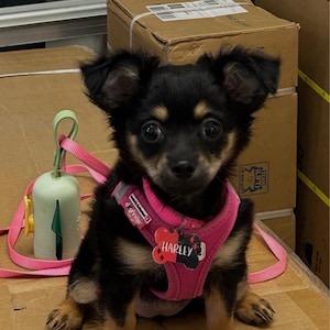Renata added a photo of their purchase