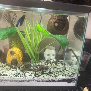 Allison added a photo of their purchase
