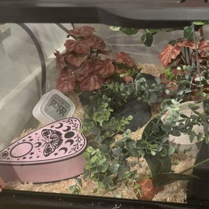 Cara added a photo of their purchase