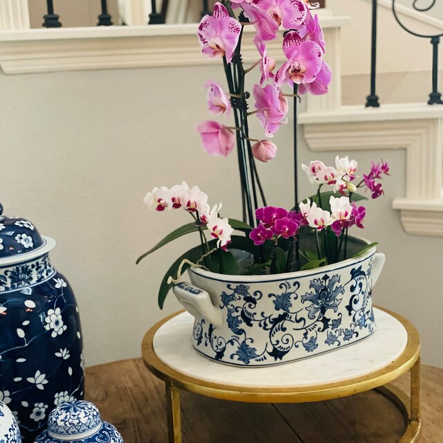 Chinoiserie Blue White Foot Bath Grand Millennial Orchid Pot Foot