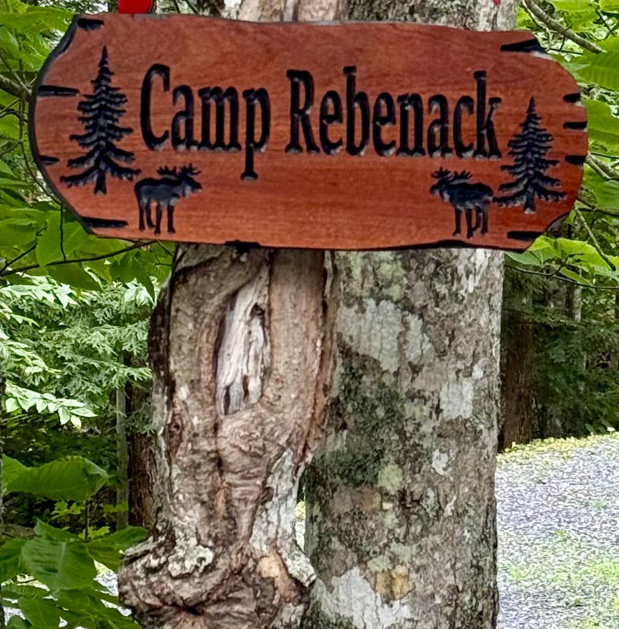 Custom Wooden Signs, Large Outdoor Sign, Rot Resistant Wood, Nature Inspired Cabin And Camp Sign, Rustic Design, Wildlife Lodge Plaque