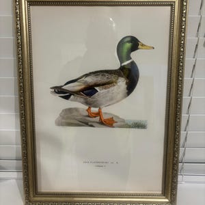 Jamie added a photo of their purchase