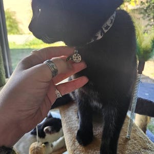 Kiana added a photo of their purchase