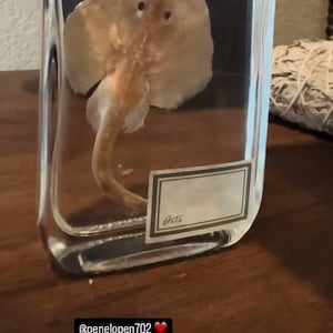 penelope added a photo of their purchase