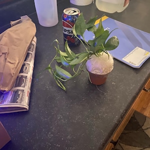 Heather added a photo of their purchase