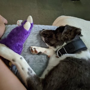 Hannah ha añadido una foto de su compra
