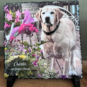 Traci added a photo of their purchase