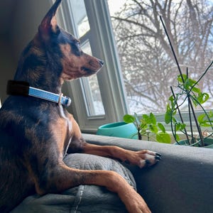 Tracy added a photo of their purchase