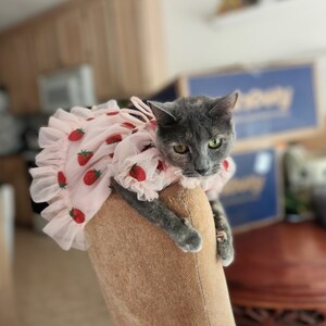 Dreamy Strawberry Tulle Glitter Dress for Dog Cat Rabbit - Etsy