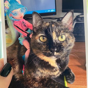 Kat added a photo of their purchase