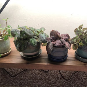 Set de 3 mini botes hechos a mano | Etsy