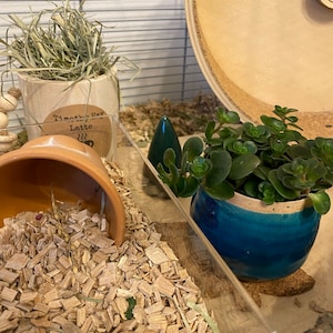 Hayley ha añadido una foto de su compra