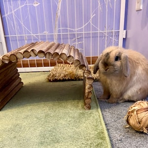 Valentine added a photo of their purchase