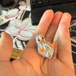 Robin added a photo of their purchase