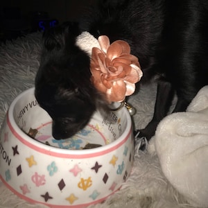 Ashley added a photo of their purchase