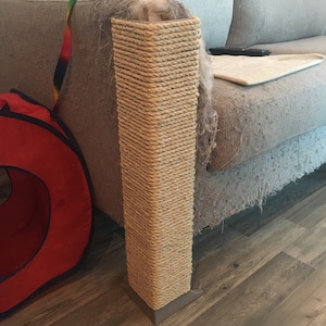 Jay ha aggiunto una foto del proprio acquisto
