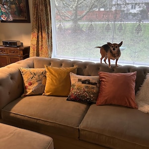 Jeanine added a photo of their purchase