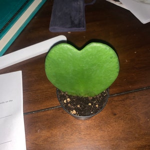 Michelle added a photo of their purchase