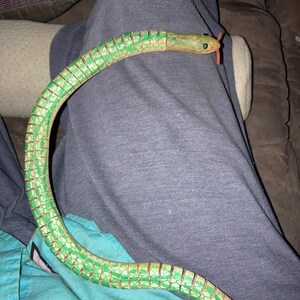 Walter added a photo of their purchase