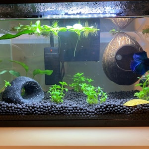Janaé added a photo of their purchase