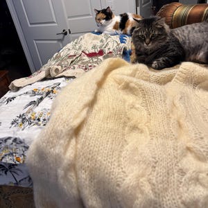 Y added a photo of their purchase