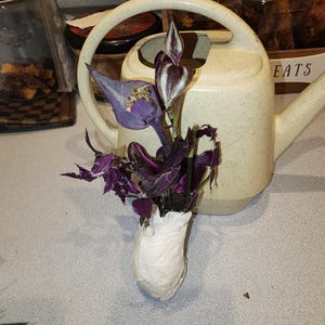 Halina added a photo of their purchase