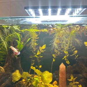 Parker hat ein Foto des gekauften Artikels hinzugefügt