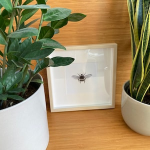 Ali added a photo of their purchase