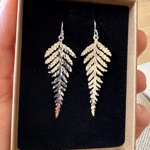 アクセサリー fauvirame Fern Earrings S / Gold fauvirame Fern Earrings S / Gold