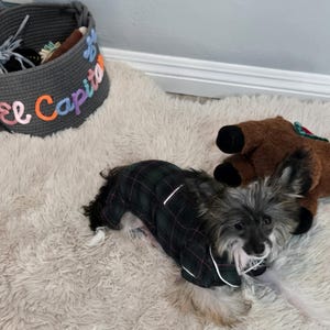 Scandalous added a photo of their purchase