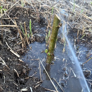 Comprador de Etsy ha añadido una foto de su compra