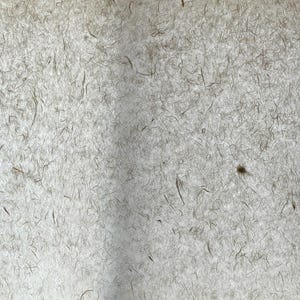 Angel ha aggiunto una foto del proprio acquisto