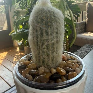 Blake added a photo of their purchase