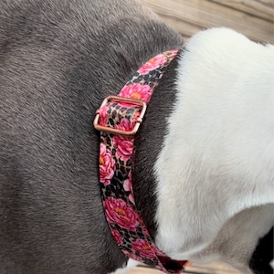 KATHLEEN added a photo of their purchase