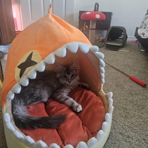 Elisha added a photo of their purchase