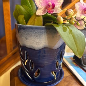 Susan added a photo of their purchase