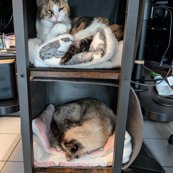 Lot De 2 Gants De Toilette - 100% Coton - Rouge - Maison