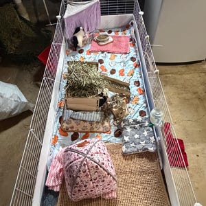 Summer added a photo of their purchase