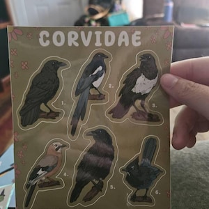 Cheyenne ha añadido una foto de su compra