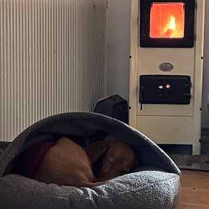 Meli ha aggiunto una foto del proprio acquisto