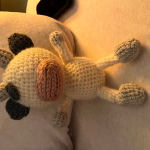 Molly ha añadido una foto de su compra