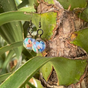Liz added a photo of their purchase