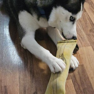Pamela added a photo of their purchase