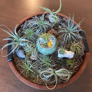Paige added a photo of their purchase
