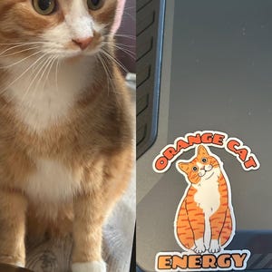 Calli a ajouté une photo de son achat