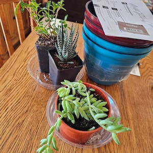 Liz added a photo of their purchase