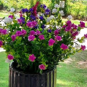 DuVaune added a photo of their purchase