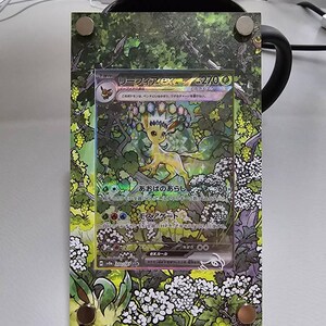 リーフィア ex sar カスタムポケモンカードディスプレイフレームケース