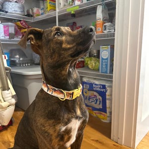 Nicole ha añadido una foto de su compra