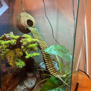 Jeff added a photo of their purchase